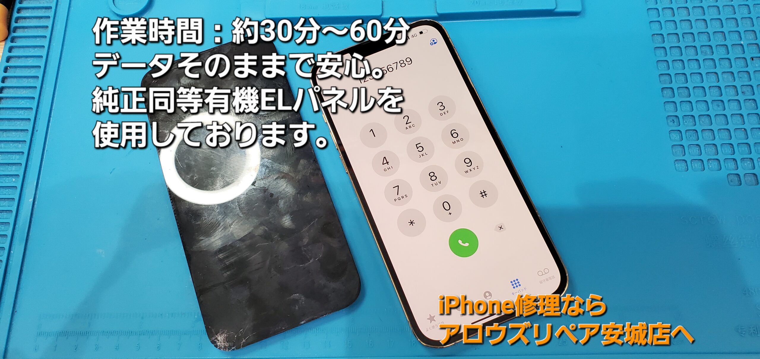 安城駅徒歩3分|iPhone・Switch・iPad修理ならアロウズリペア安城がおすすめ！JR安城駅から徒歩3分、データそのまま即日修理、Switch修理もお任せ下さい。お客様のお悩み解決致します。